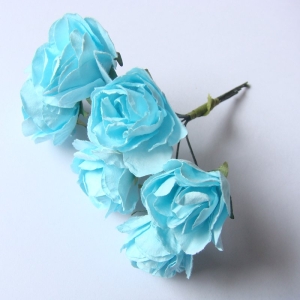 light-blue-1