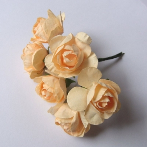 light-orange-1
