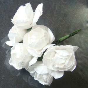 white-1