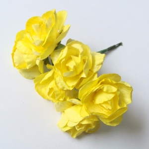 yellow-1
