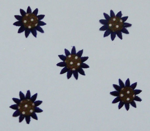 Sunflowers - Purple