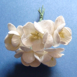 Mulberry Cherry Blossoms - White