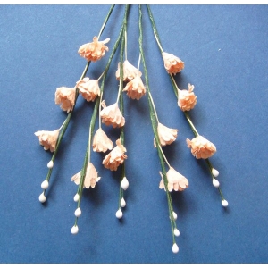 Stem with Flowers - Light Orange