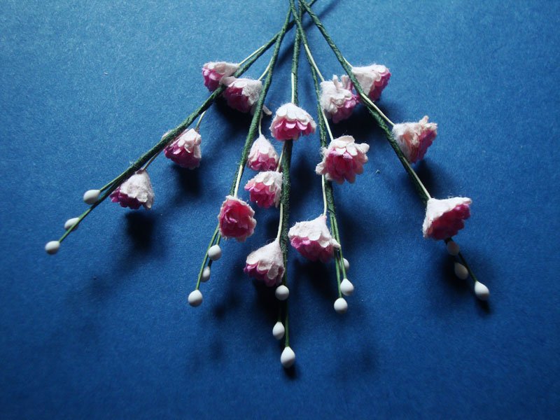 Stem with Flowers - Pink and White