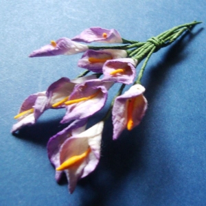 Tulip - White and Purple