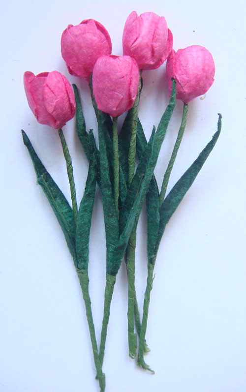 Tulips - Pink