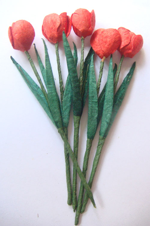 Tulips - Red