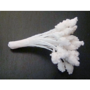 Granulated Pollens - White
