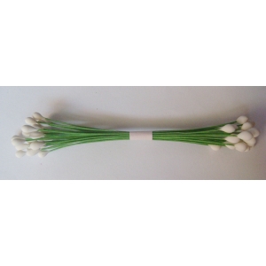 Wired Pollens - White