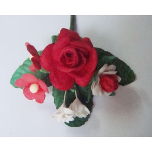 CAMR192_2