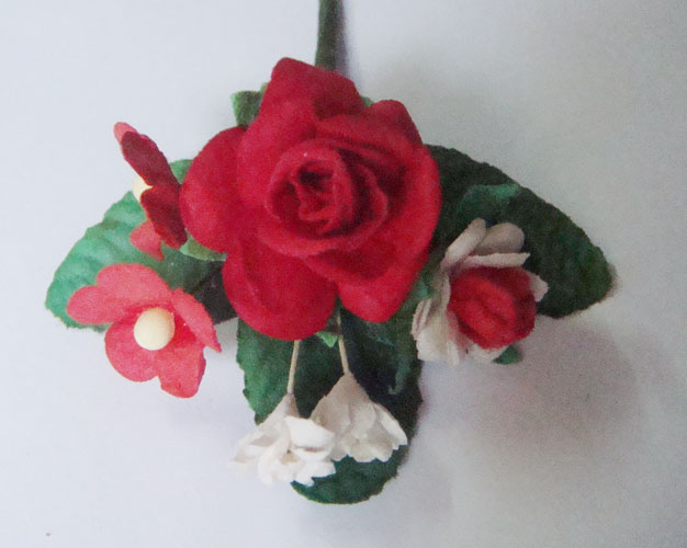 CAMR192_2