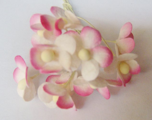 Periwinkles - Pink and White (Pack of 10 flowers)