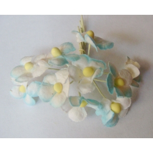 Periwinkles - Blue and White (Pack of 10 flowers)