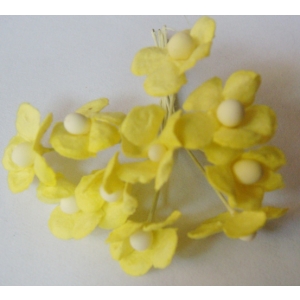 Periwinkles - Yellow