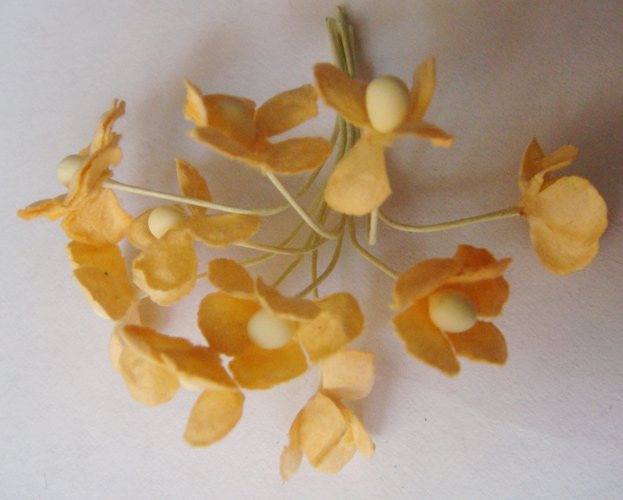 Periwinkles - Peach