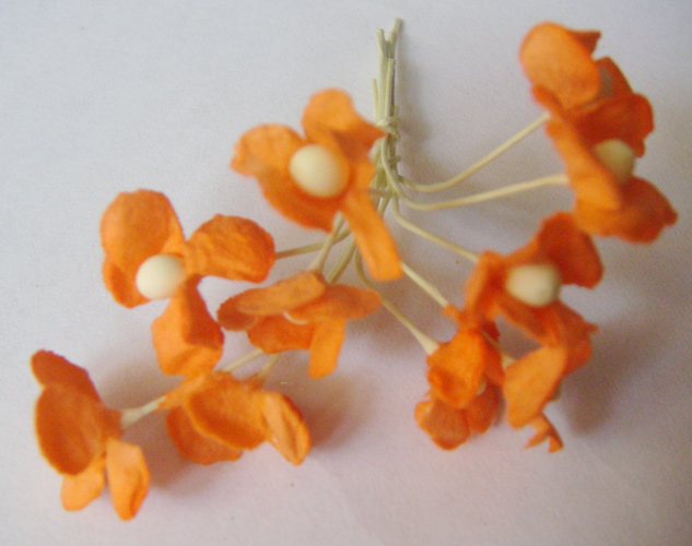Periwinkles - Orange