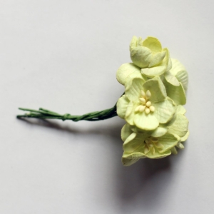 Mulberry Cherry Blossoms - Light Green (Pack of 10 flowers)