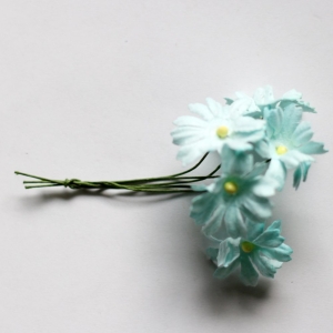 Daisies - Baby Blue