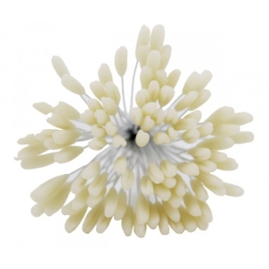 Pollens - Cream CAMR282