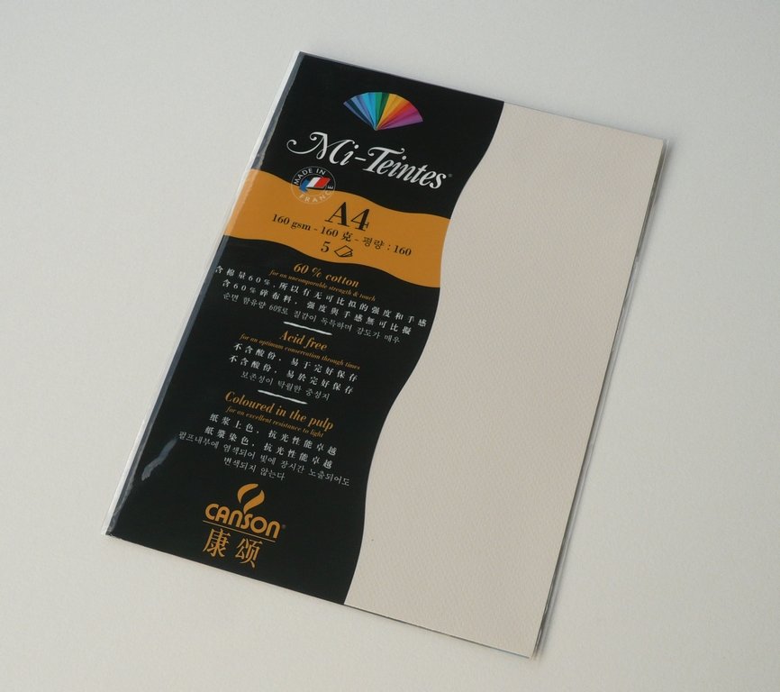 Canson Mi-Teintes A4 colour sheets 160gsm - Ivory 111
