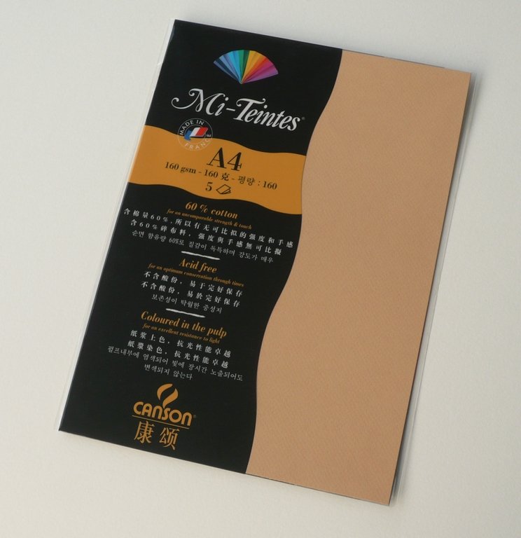Canson Mi-Teintes A4 colour sheets 160gsm - Hemp 374