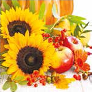 A pack of 13 by 13 inch Decpoupage Napkin Paper (SDL087900) - Set of 5 pcs