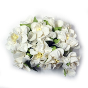 Mulberry flowers with pollens (Small) - White (Pack of 10 flowers)