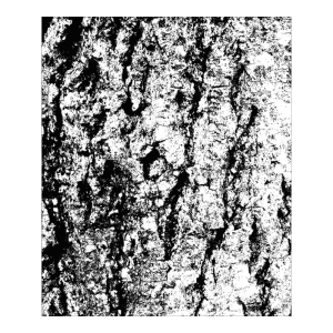 Prima's Finnabair Collections Clear Stamp - Tree