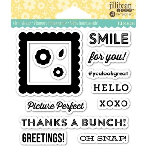 Hampton Art Clear Stamp - Pic Perfect