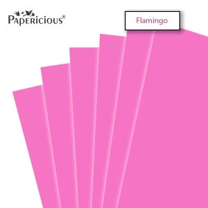Papericious Flamingo cardstock (Set of 10 sheets) - 12" by 12" (250 gsm)