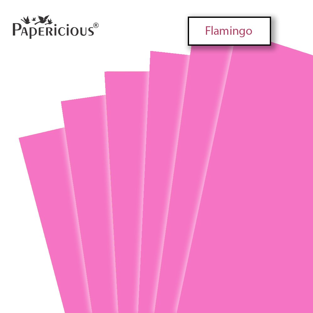 Papericious Flamingo cardstock (Set of 10 sheets) - 12" by 12" (250 gsm)