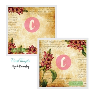 Aged-Beauty-Decoupage-Cover-12x12-3-and-4