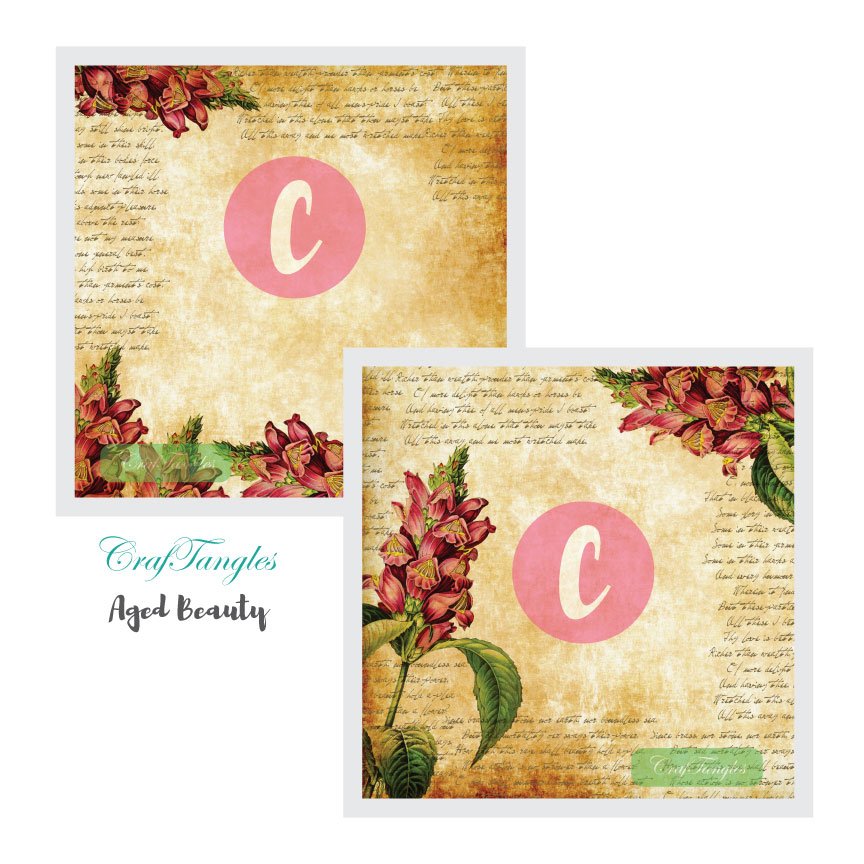 Aged-Beauty-Decoupage-Cover-12x12-3-and-4