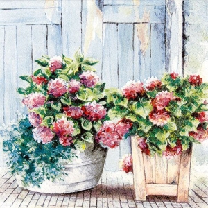 A pack of 12 by 12 inch German Decoupage Napkins ( 5 pcs ) - Cottage Hydrangeas