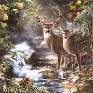 A pack of 12 by 12 inch German Decoupage Napkins ( 5 pcs ) - Deers on Creek
