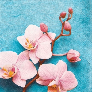 A pack of 12 by 12 inch German Decoupage Napkins ( 5 pcs ) - Rose Orchid