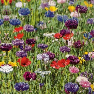 A pack of 12 by 12 inch German Decoupage Napkins ( 5 pcs ) - Flower Field