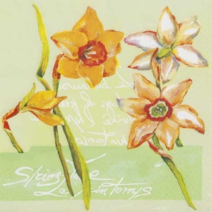 A pack of 12 by 12 inch German Decoupage Napkins ( 5 pcs ) - Daffodils in Spring