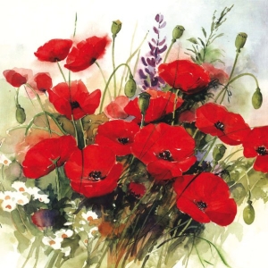 A pack of 12 by 12 inch German Decoupage Napkins (5 pcs) - Wild poppies