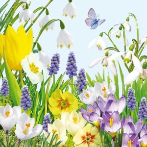 German Decoupage Napkins (5 pcs) - Spring TIme