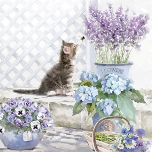 A pack of 12 by 12 inch German Decoupage Napkins (5 pcs) - Kitten