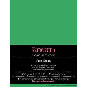 Mudra Paperum cardstock (8.5 by 11 inches) (250 gsm) (Set of 10 sheets) - Fern Green