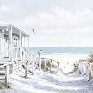 German Decoupage Napkins (5 pcs) - Beach Cabin