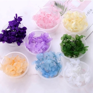 Dried Flowers
