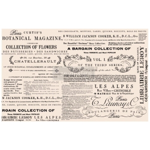 Prima Marketing Re-Design Mulberry Tissue 19"x30" - Floral Text