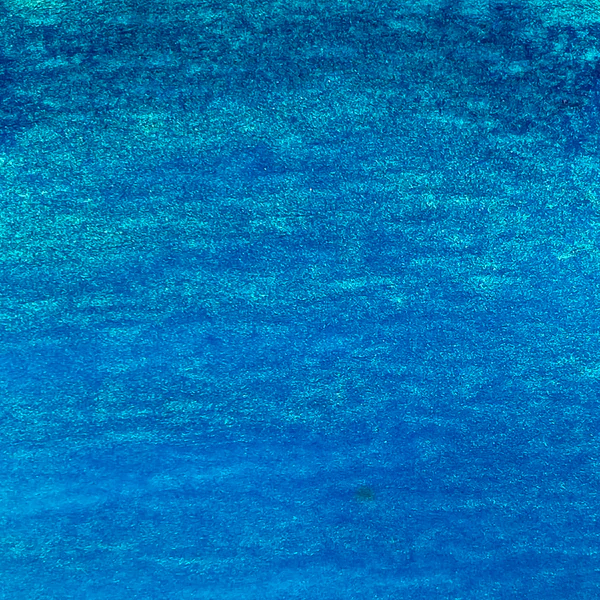 Lindys_Magical_Powder_Delphinium_Turquoise_1