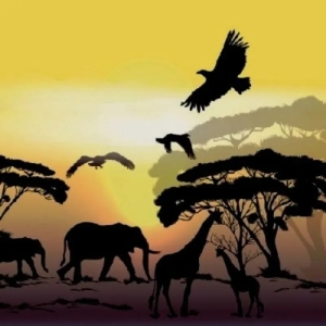 German Decoupage Napkins (5 pcs) - Africa Safari