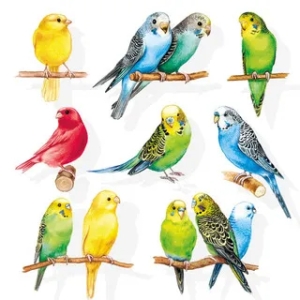 German Decoupage Napkins (5 pcs) - Birdies
