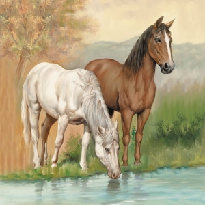 German Decoupage Napkins (5 pcs) - Horses