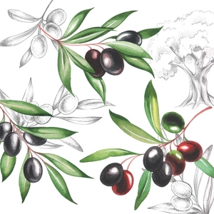 German Decoupage Napkins (5 pcs) - Olives